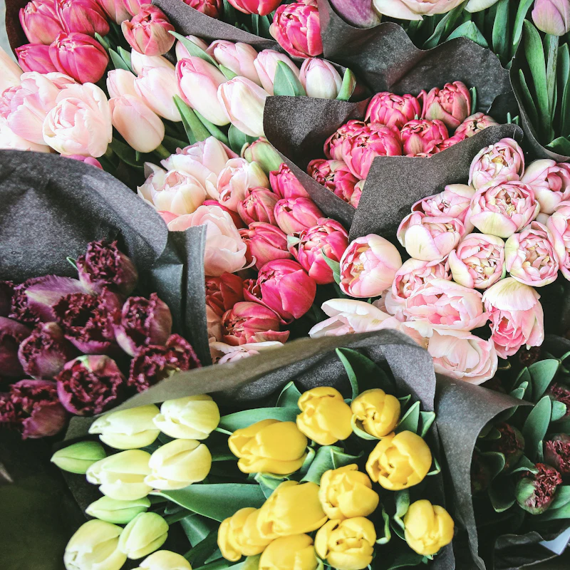 Buckets of tulips in many colors