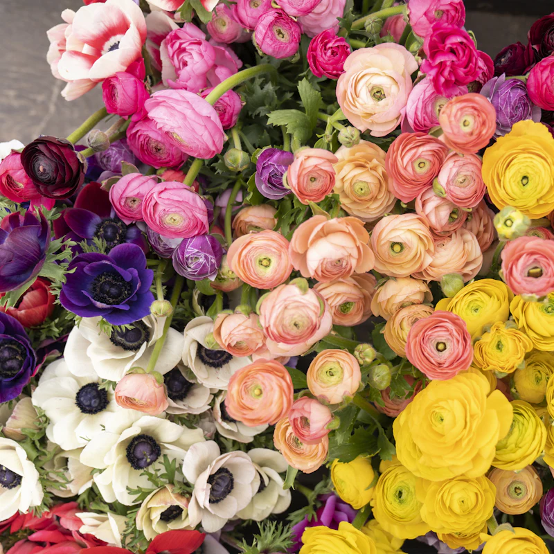 A pink, green, and white bouquet